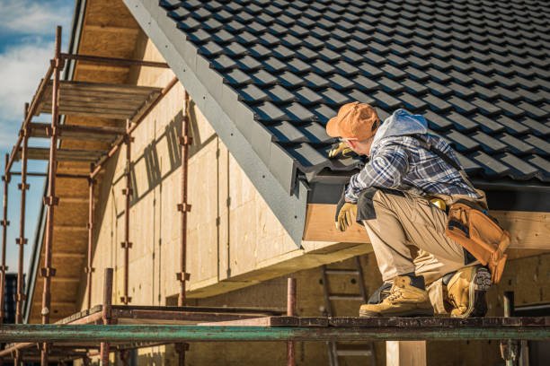 Best Roof Gutter Cleaning  in Serenada, TX