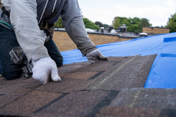 Roof Waterproofing Services in Serenada, TX
